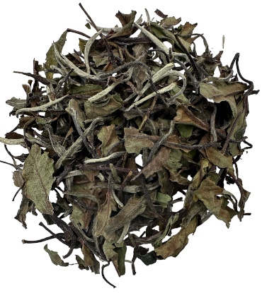 China White Tea (Gong Mei)